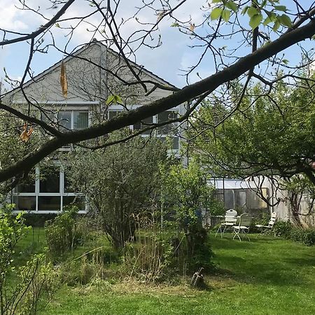 Apartamento Rebenlaub Heringen  Exterior foto