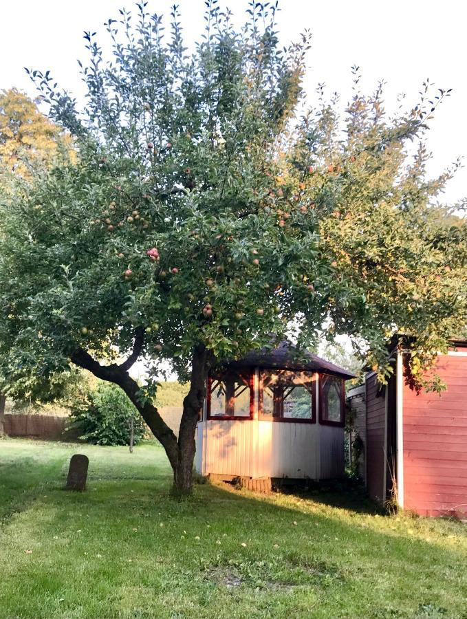 Apartamento Rebenlaub Heringen  Exterior foto